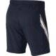 Nikecourtdri9inherre-p