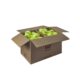 Wilson-Triniti-72-pak-tennisbolde