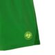 Lacoste-Sport-Roland-Garros-Edition-Lined-Shorts-Green-1