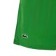 Lacoste-Sport-Roland-Garros-Edition-Lined-Shorts-Green-2