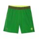 Lacoste-Sport-Roland-Garros-Edition-Lined-Shorts-Green-4