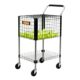 Head-Ball-Cart